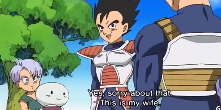 Dragon Ball 5 Couples Every Fan Wanted (& 5 No One Saw Coming) Dragon Ball 5 Couples Every Fan Wanted (& 5 No One Saw Coming)